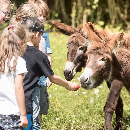 Waldhof Fuschlsee Hotel